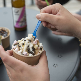 Vigousse_Charmey Glace