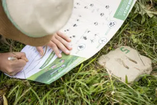 Un enfant cherche à l'aide d'un plan à quel animal appartient l'empreinte qu'il a trouvé
